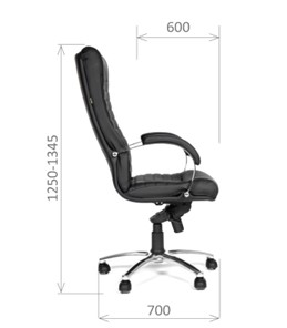 Офисное кресло CHAIRMAN 480 Экокожа премиум черная в Находке - предосмотр 2